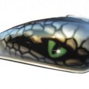 air-brush snake eye