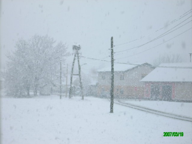 Sneg, 19.3.2007 - steiermark - foto