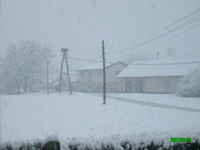 Sneg, 19.3.2007 - steiermark - foto povečava