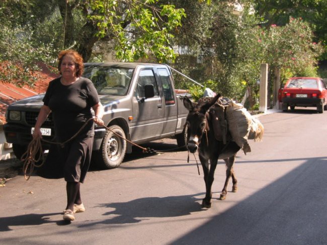 Krf 2003 - foto povečava