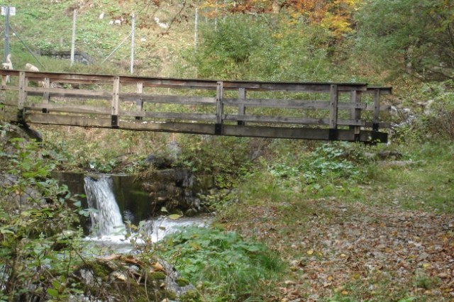 15.oktober - foto