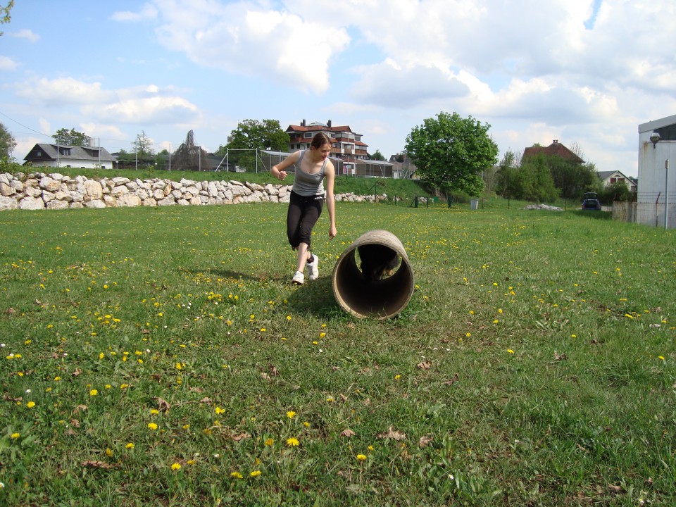 Pomlad & poletje, 2009 - foto povečava