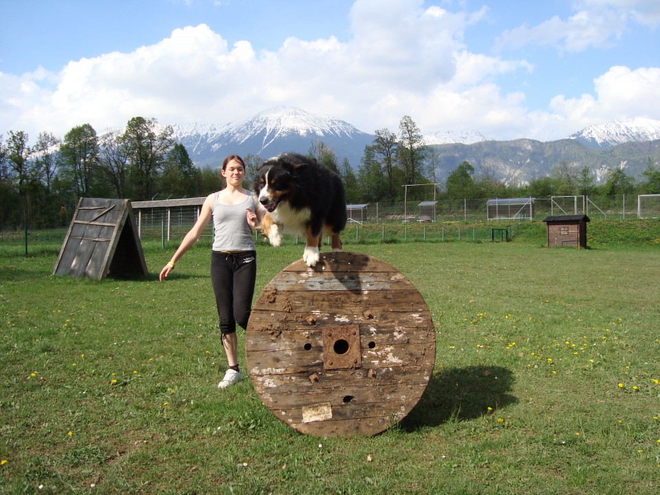 Pomlad & poletje, 2009 - foto povečava