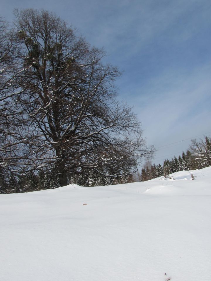 Winter 2010 - foto povečava