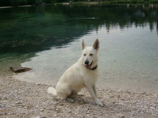 Kranjska gora, avgust 07 - foto