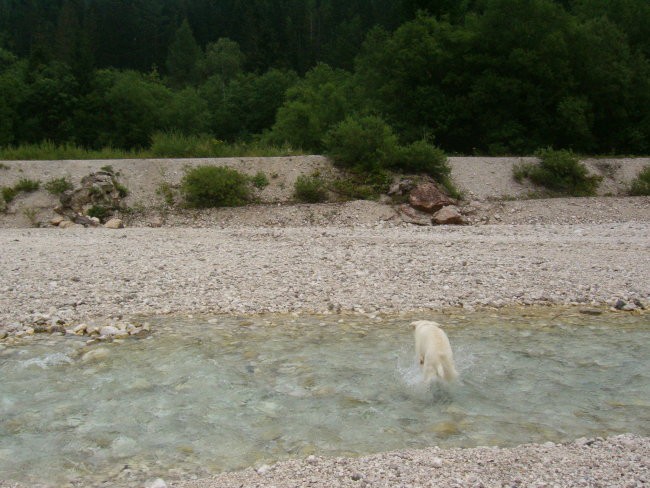 Kranjska gora, avgust 07 - foto povečava