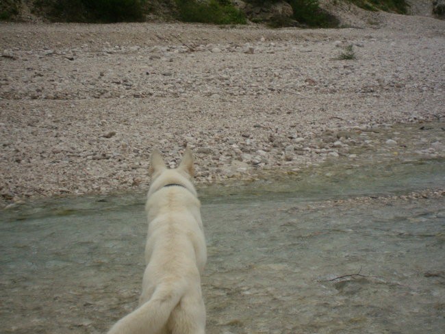 Kranjska gora, avgust 07 - foto povečava