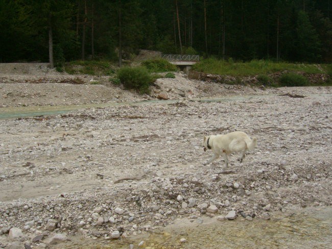 Kranjska gora, avgust 07 - foto povečava