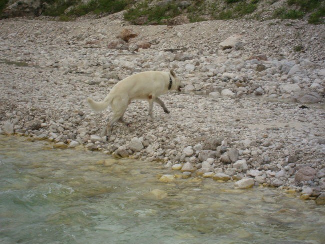 Kranjska gora, avgust 07 - foto povečava