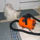 air force pet dryer