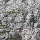 Pogled na 60m visoko Pipanovo lestev
