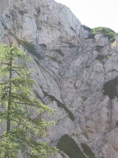 Grapa izpod Staničevega vrha ter poraščeno sedlo pred Staničevim vrhom