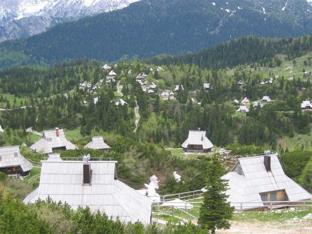 Velika planina; 4.6.2006 in 7.7.-9.7.2006 - foto