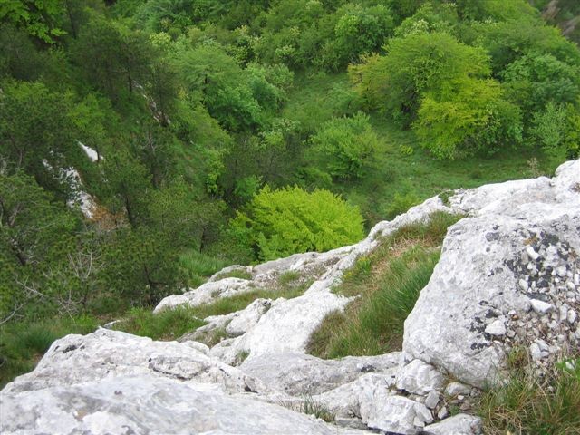 Kočevski hribčki (Krokar, Krempa, Fridrihštaj - foto