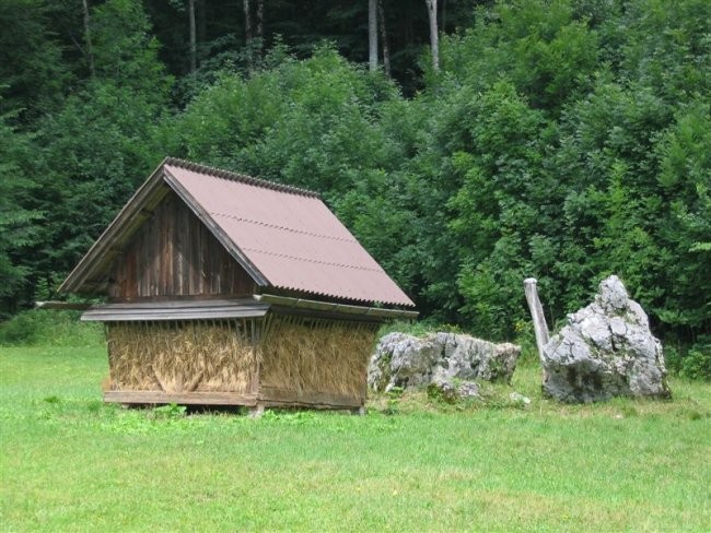 Kamniski Dedec 1583m; 5.8.2006 - foto povečava