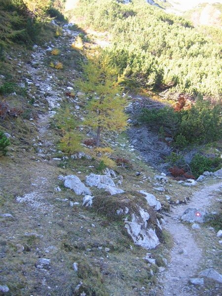 Pot na levo gre po lovski poti na Desko, desna markirana pa na Korošico