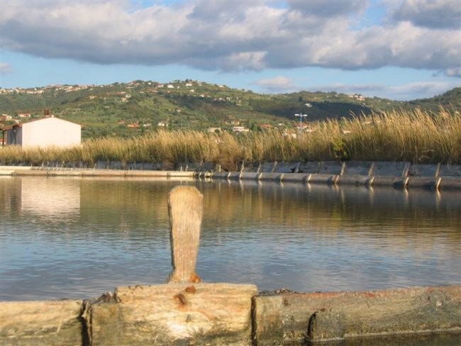 Zemeljski nasipi kristalizacijskih bazenov so podprti z oblogo, ki podaljšuje življenjsko 