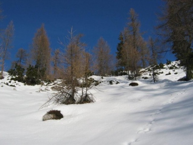 Debela peč (2014 m) in Brda (2009 m); 16. 12. - foto
