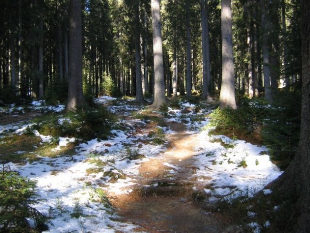 Lipanca (1633 m); 6.1.2007 - foto