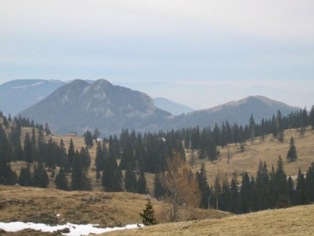 Velika planina 1666m; 20.1.2007 - foto