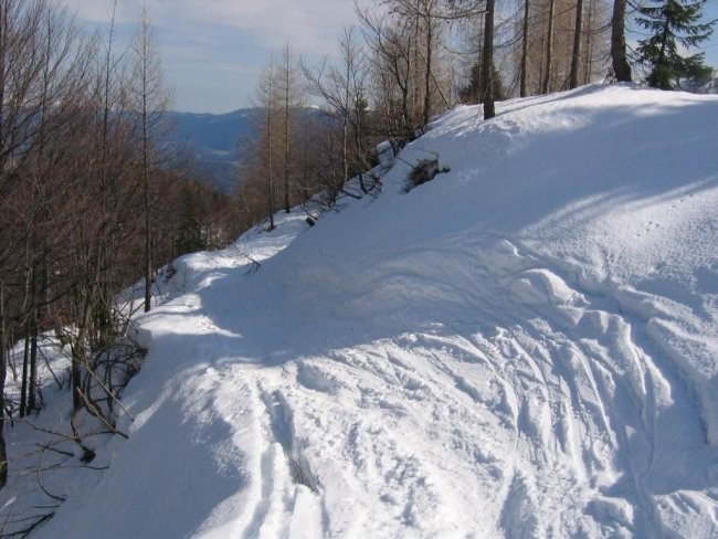 Komna 1520m; 11. 3. 2007 - foto povečava