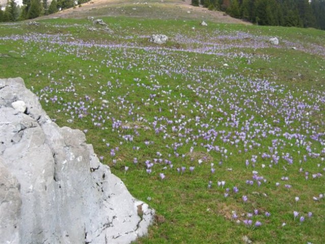 Kofce (1488 m) 14. 4. 2007 - foto
