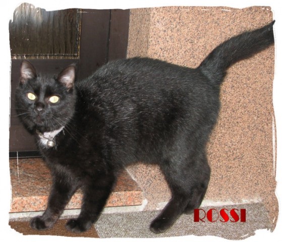ROSSI - foto