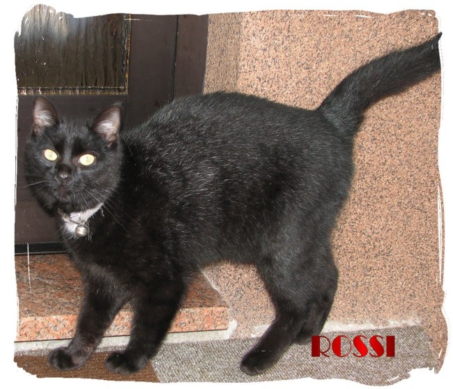 ROSSI - foto povečava