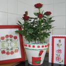 Serija vrtnic za 80.  rojstni dan none iz Dolenjske.
