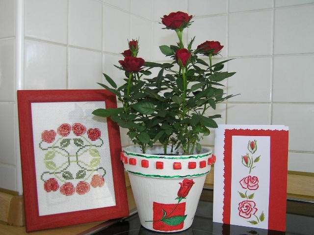 Serija vrtnic za 80.  rojstni dan none iz Dolenjske.