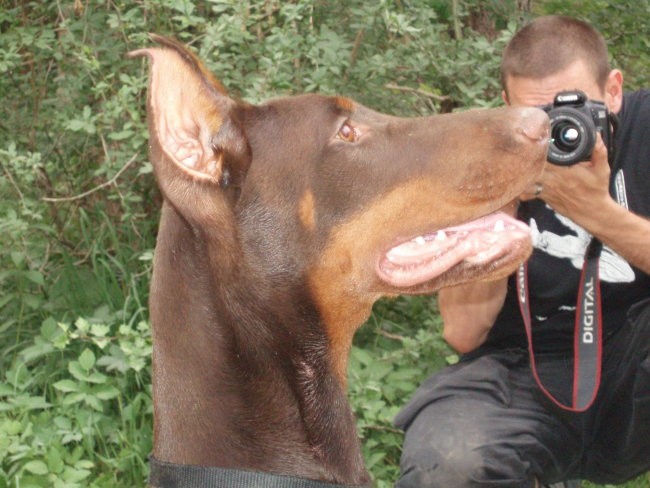 RIBNO - foto povečava