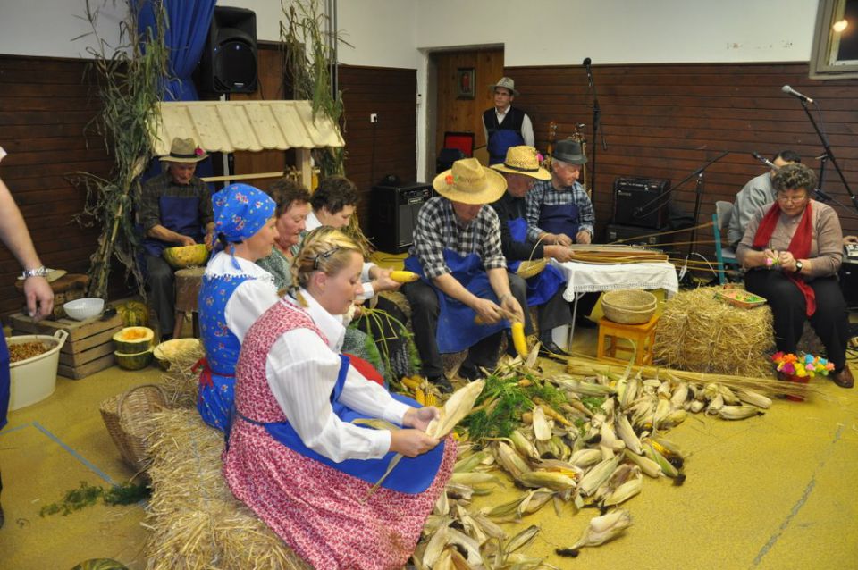 Noč na vasi - foto povečava