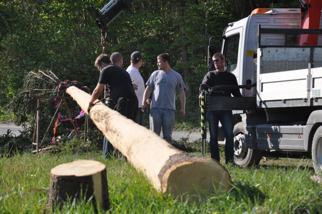 Postavljanje mlaja Zavodnje 2011 - foto