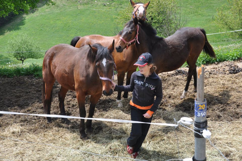 Otroški pohod 2.5.2011 - foto povečava