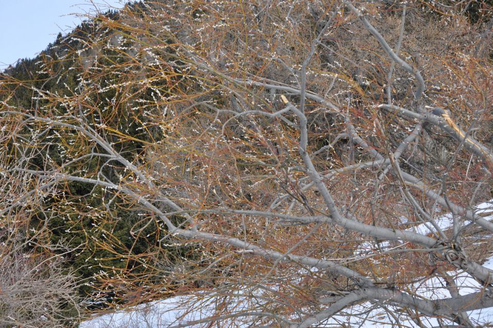 Uršlja Gora Buki Tinč in jaz 18.2.2012 - foto povečava