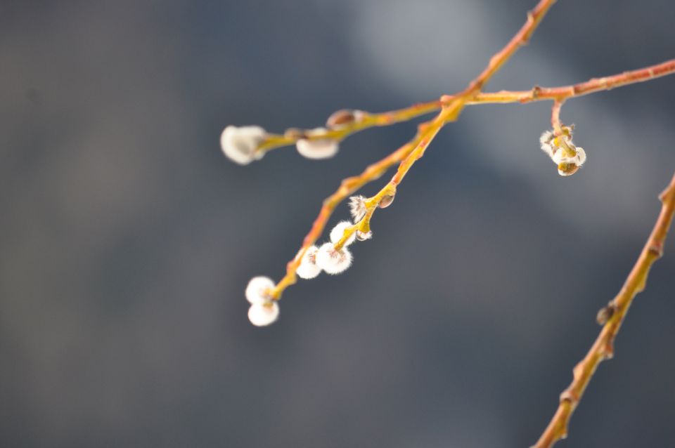 Uršlja Gora Buki Tinč in jaz 18.2.2012 - foto povečava