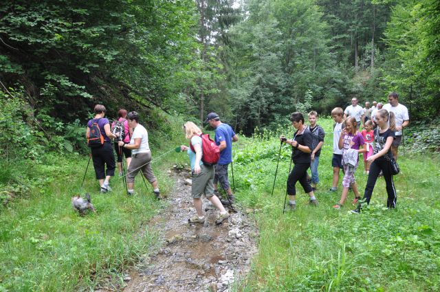 Piknik Kulturnega društva Zavodnje  - foto