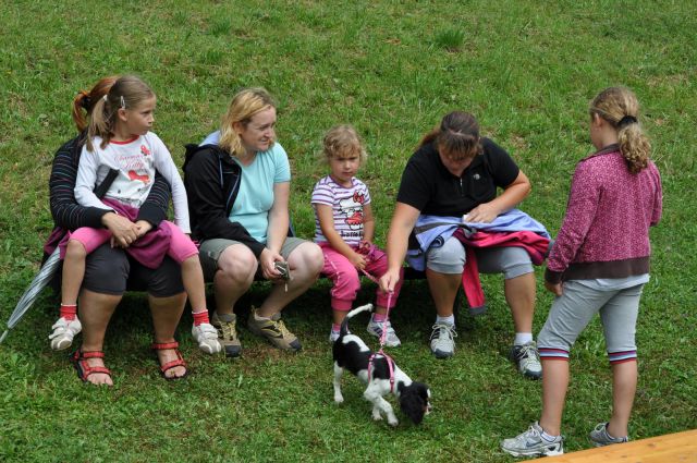 Piknik Kulturnega društva Zavodnje  - foto