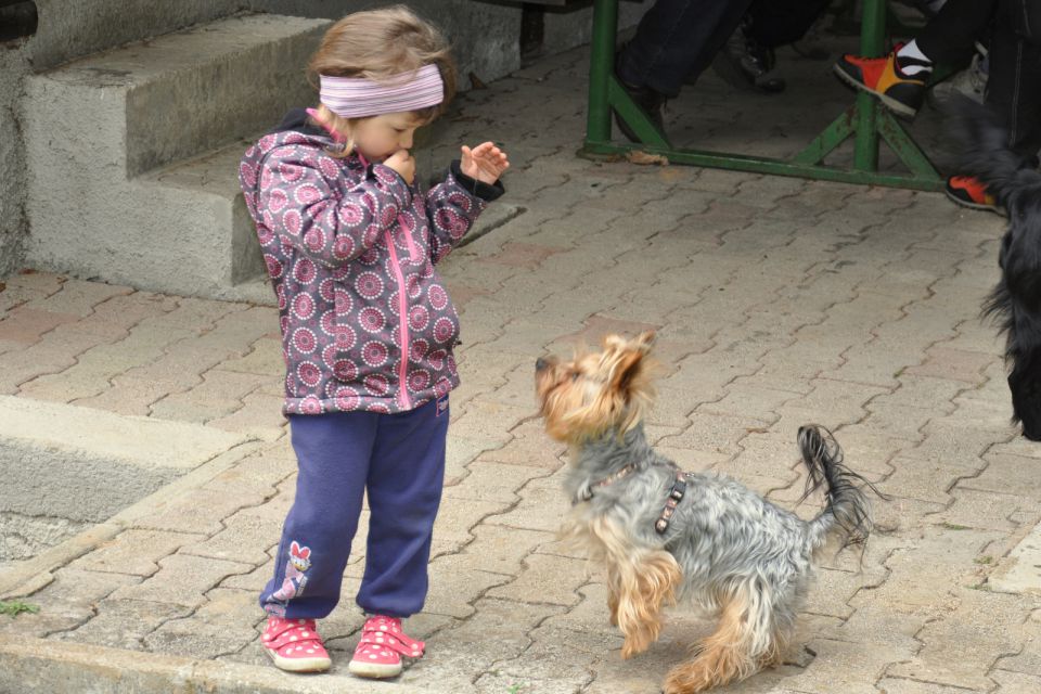 DPM Zavodnje - Šentvid 27.4.2013 - foto povečava