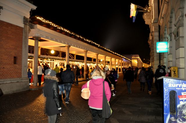 Ogled Ljubljane v decemru 2013 - foto