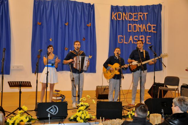 Koncert narodno zabavne glasbe Zavodnje 2014 - foto