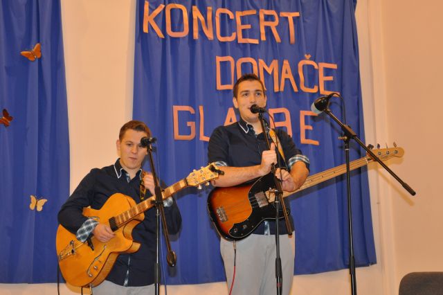 Koncert narodno zabavne glasbe Zavodnje 2014 - foto