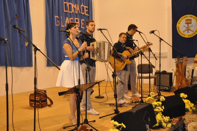 Koncert narodno zabavne glasbe Zavodnje 2014 - foto