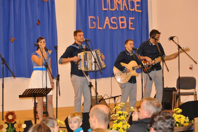 Koncert narodno zabavne glasbe Zavodnje 2014 - foto