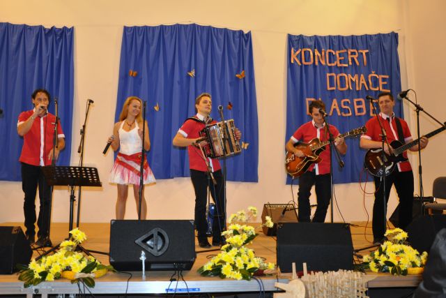 Koncert narodno zabavne glasbe Zavodnje 2014 - foto