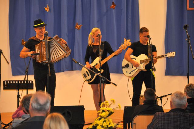 Koncert narodno zabavne glasbe Zavodnje 2014 - foto