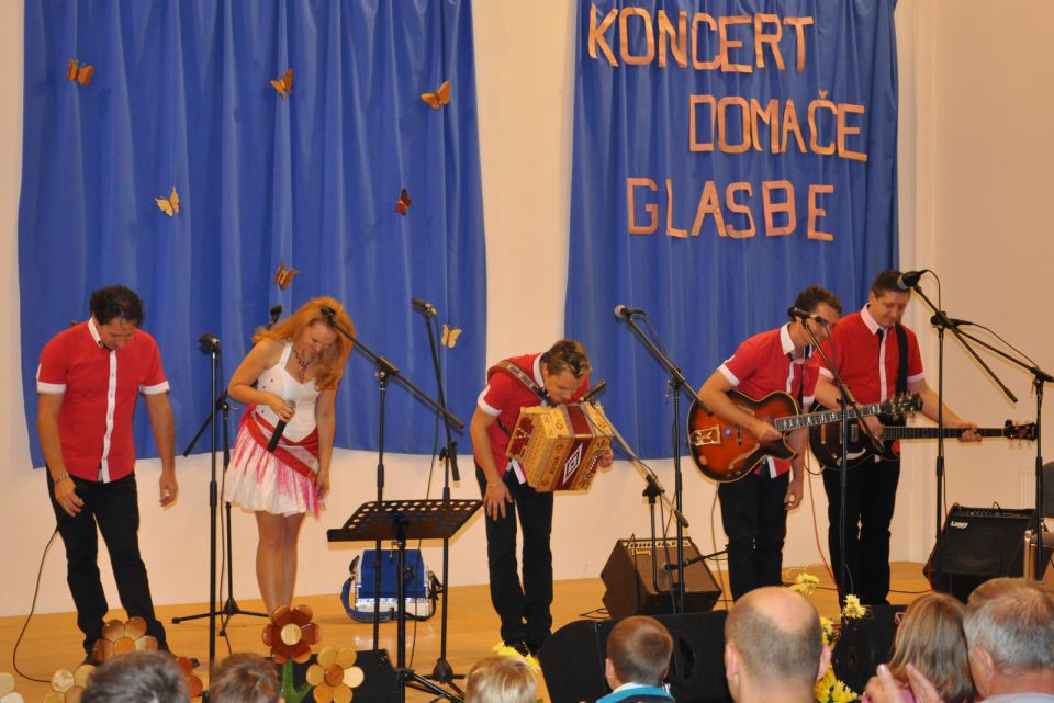 Koncert narodno zabavne glasbe Zavodnje 2014 - foto povečava