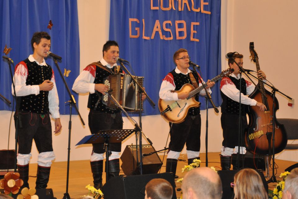 Koncert narodno zabavne glasbe Zavodnje 2014 - foto povečava