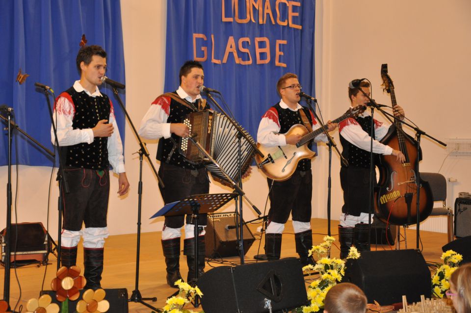 Koncert narodno zabavne glasbe Zavodnje 2014 - foto povečava