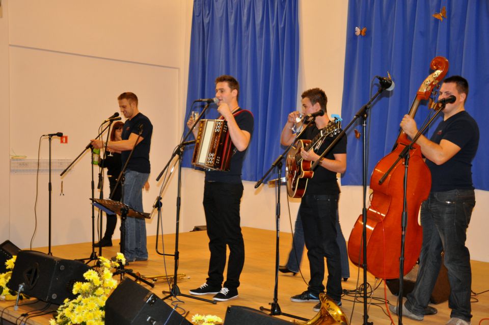 Koncert narodno zabavne glasbe Zavodnje 2014 - foto povečava